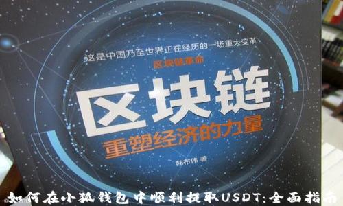 
如何在小狐钱包中顺利提取USDT：全面指南