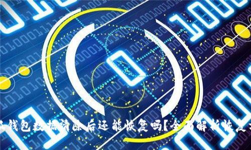 小狐钱包数据清除后还能恢复吗？全面解析恢复方法