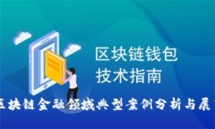 区块链金融领域典型案例分析与展望
