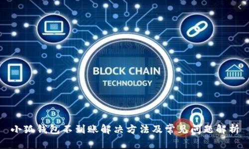 小狐钱包不到账解决方法及常见问题解析
