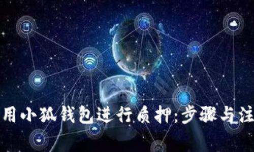 如何使用小狐钱包进行质押：步骤与注意事项