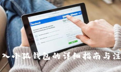 私钥导入小狐钱包的详细指南与注意事项