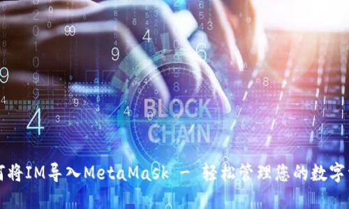 如何将IM导入MetaMask - 轻松管理您的数字资产