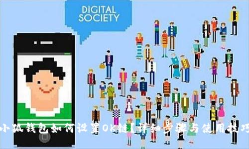 小狐钱包如何设置OK链？详细步骤与使用技巧