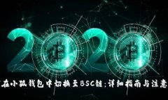 如何在小狐钱包中切换至BSC链：详细指南与注意