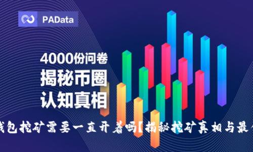 小狐钱包挖矿需要一直开着吗？揭秘挖矿真相与最佳实践