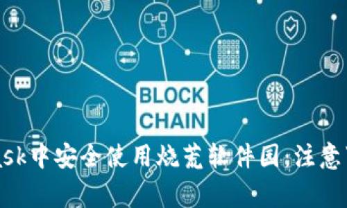 如何在MetaMask中安全使用烧荒软件园：注意事项与实操指南