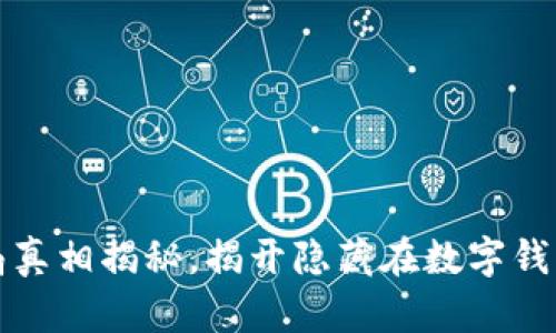 小狐钱包骗局真相揭秘，揭开隐藏在数字钱包背后的真相