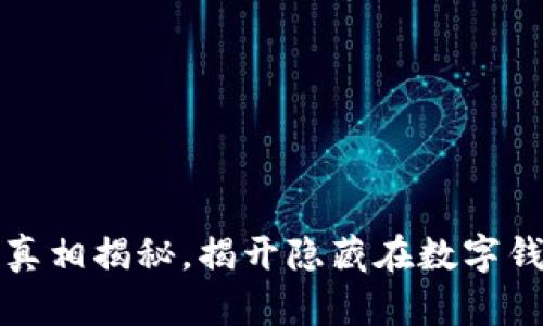 小狐钱包骗局真相揭秘，揭开隐藏在数字钱包背后的真相