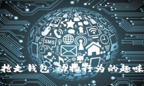 狐狸抢走钱包：动物行为的趣味观察