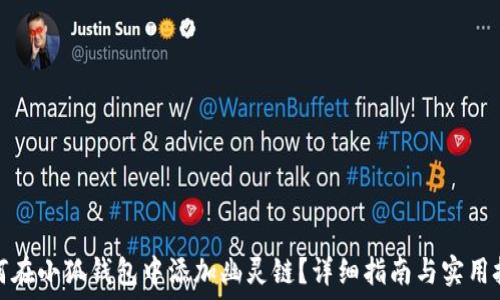  
如何在小狐钱包中添加幽灵链？详细指南与实用技巧