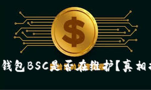 小狐钱包BSC是否在维护？真相揭秘！