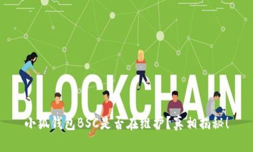 小狐钱包BSC是否在维护？真相揭秘！