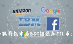 如何在小狐钱包中为BSC链添加FIL币：详细指南